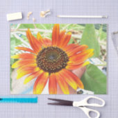 Sonnenblume Seidenpapier (Handwerk)