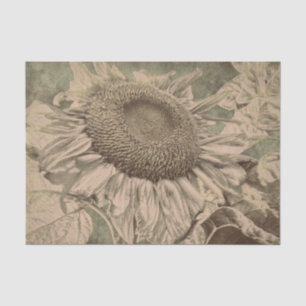 Sonnenblume Sepia-Ton Braun Kunst Textur Decoupage Seidenpapier