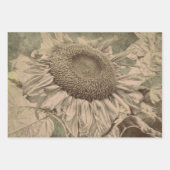 Sonnenblume Sepia-Ton Braune Kunst Textur Decoupag Geschenkpapier Set (Vorderseite 3)