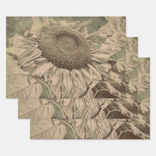 Sonnenblume Sepia-Ton Braune Kunst Textur Decoupag Geschenkpapier Set (Set)