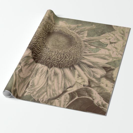 Sonnenblume Sepia Tone Brown Art Texoupage Geschenkpapier (Ungerollt)