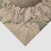 Sonnenblume Sepia Tone Brown Art Texoupage Seidenpapier (Ausschnitt)