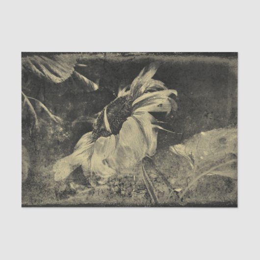 Sonnenblume Sepia Vintag antike Grunge Textur Seidenpapier (Vorderseite)