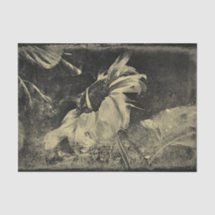 Sonnenblume Sepia Vintage Antik Grunge Textur Seidenpapier
