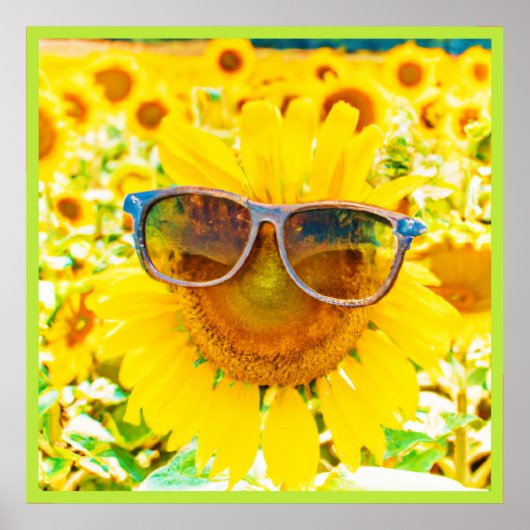 Sonnenblume Shades Chic Poster (Vorne)