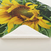 Sonnenblume Sherpadecke (3/4)