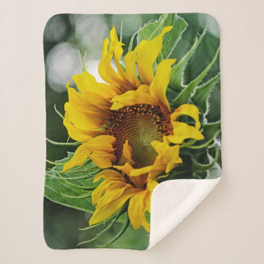 Sonnenblume Sherpadecke (Vorderseite)