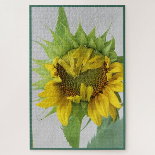 Sonnenblume "Shy" Puzzle (Vertikal)