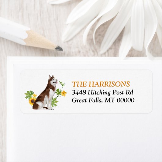 Sonnenblume Sibirisches Rotes Husky-Hundeschema (Insitu)