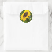 Sonnenblume Sideshot Runder Aufkleber (Tasche)