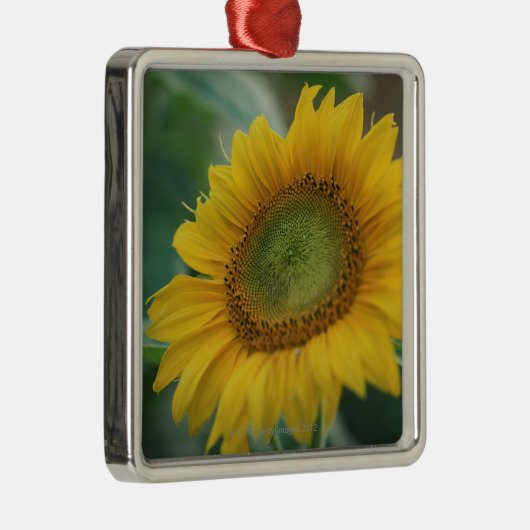 Sonnenblume Silbernes Ornament (Rechts)