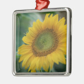Sonnenblume Silbernes Ornament (Links)