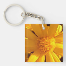 Sonnenblume Single Seite