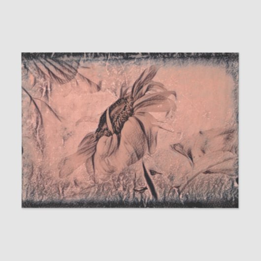 Sonnenblume Sketch Sepia Vintage Antiquitätendekou Seidenpapier (Vorderseite)