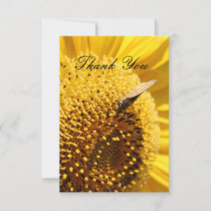 Sonnenblume Skipper Danke Karte