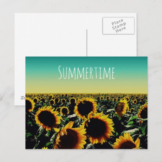 Sonnenblume Sommerzeit Postkarte (Vorne/Hinten)