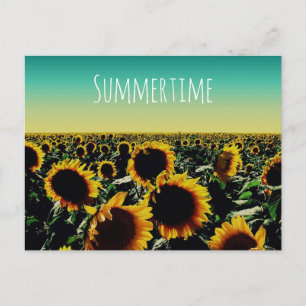 Sonnenblume Sommerzeit Postkarte