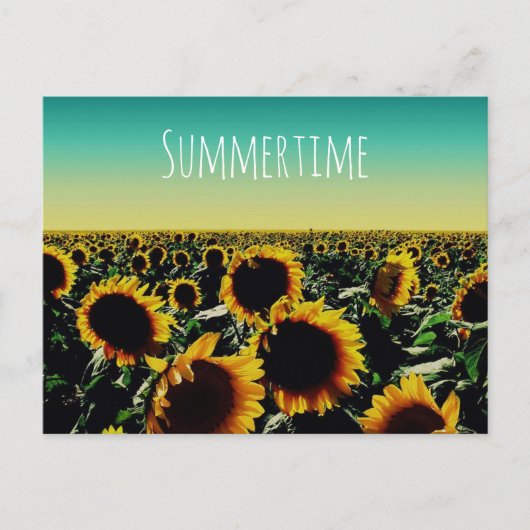 Sonnenblume Sommerzeit Postkarte (Vorderseite)