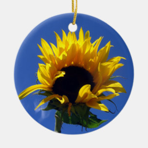 Sonnenblume-Sonnenaufgang-runde Verzierung Keramikornament