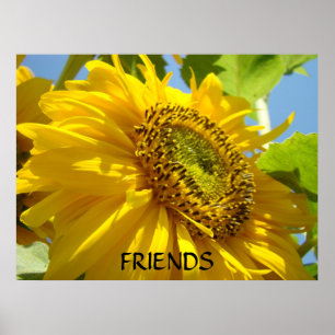 SONNENBLUME Sonnenblumen Kunst Drucke Gerahmte Kun