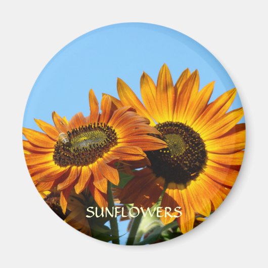SONNENBLUME SONNENFLOWER MAGNET MAGNETS Geschenke (Vorne)