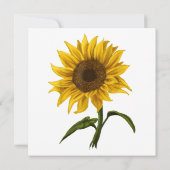 Sonnenblume Sonnenschein Blume Wasserfarben Einladung (Rückseite)