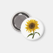 Sonnenblume Sonnenschein Blume Wasserfarben Magnet (Vorderseite/Rückseite)