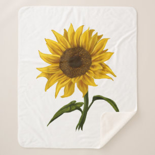 Sonnenblume Sonnenschein Blume Wasserfarben Sherpadecke
