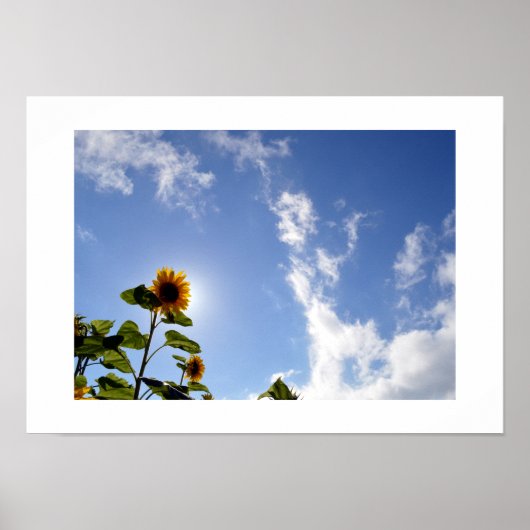 Sonnenblume & Sonnenschein Poster (Vorne)