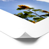 Sonnenblume & Sonnenschein Poster (Ecke)