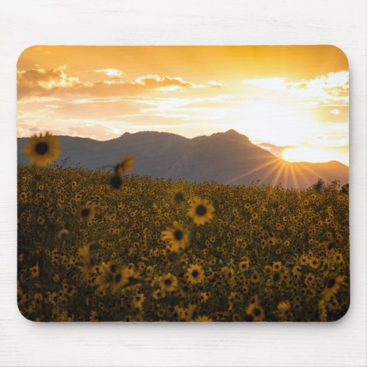 Sonnenblume-Sonnenuntergang Mousepad (Vorne)