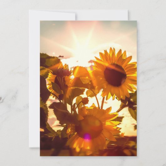 Sonnenblume Speichern Sie die Datumskarten Save The Date (Rückseite)