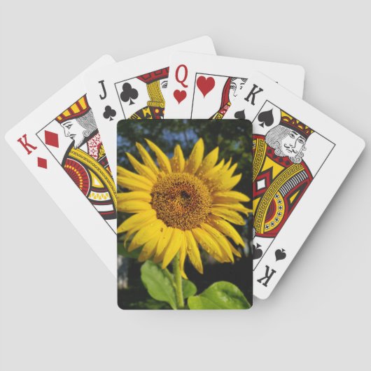 Sonnenblume Spielkarten (Rückseite)