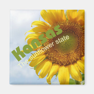 Sonnenblume-Staats-Andenken-Kühlschrankmagnet Magnet