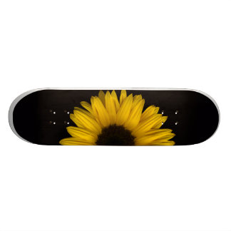 Sonnenblume-steigendes Skateboard Pro