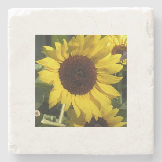 Sonnenblume Steinuntersetzer (Vorderseite)