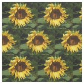 Sonnenblume Stoff (Muster)