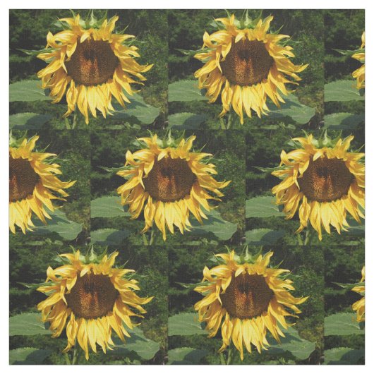 Sonnenblume Stoff (Muster)