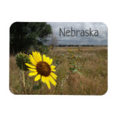 Sonnenblume, Stormy Sky, Western Nebraska Landscha Magnet (Horizontal)