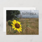 Sonnenblume, Stormy Sky, Western Nebraska Landscha Postkarte (Vorne/Hinten)