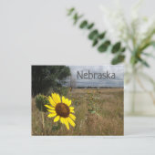 Sonnenblume, Stormy Sky, Western Nebraska Landscha Postkarte (Stehend Vorderseite)