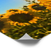 Sonnenblume Sun Star Poster (Ecke)