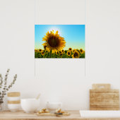 Sonnenblume Sun Star Poster (Küche)