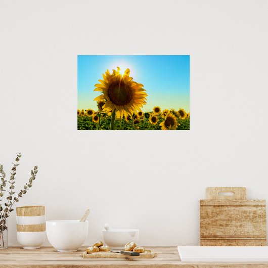Sonnenblume Sun Star Poster (Küche)