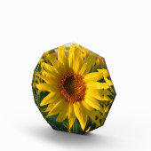 Sonnenblume Sunshine Fotoblock (Rechts)