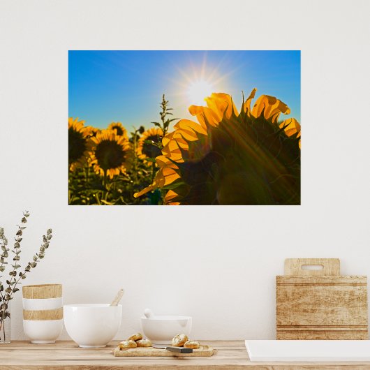Sonnenblume Sunstar Poster (Küche)