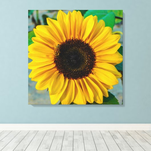 Sonnenblume Supreme Leinwanddruck (Insitu (Holzboden))