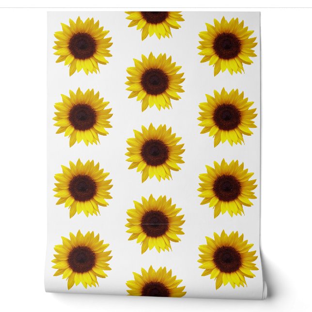 Sonnenblume Tapete (Abrollen)