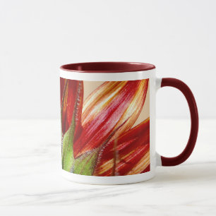 Sonnenblume Tasse