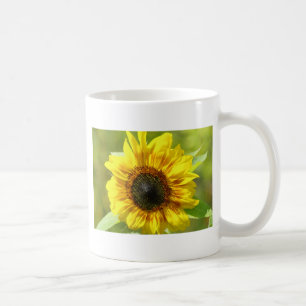 Sonnenblume-Tasse Kaffeetasse